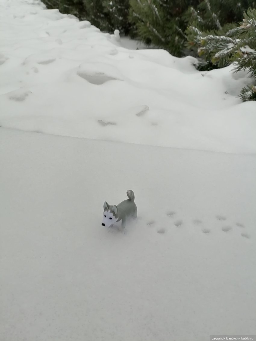 Санкт-Петербург. Январь: Милош в Парадном квартале-1 | Бэйбики Санкт-Петербург. Январь: Милош в Парадном квартале-1