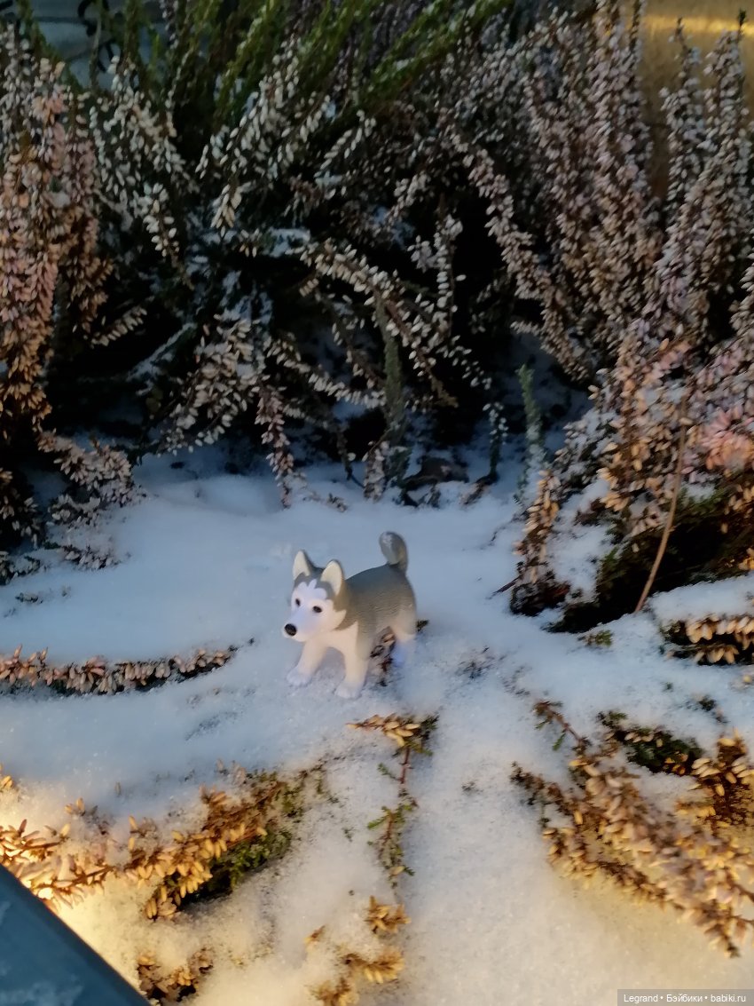 Санкт-Петербург. Январь: Милош в Парадном квартале-2 | Бэйбики Санкт-Петербург. Январь: Милош в Парадном квартале-2