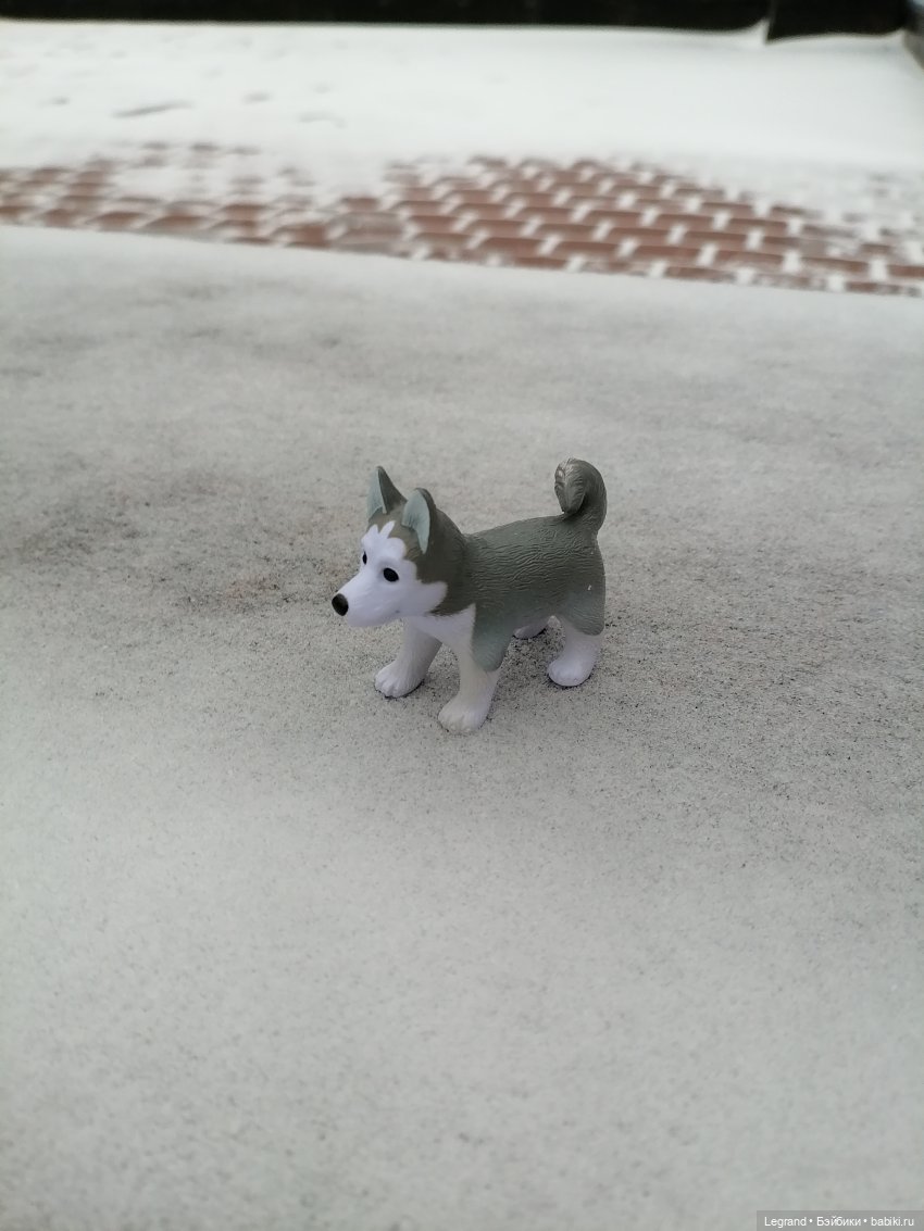 Санкт-Петербург. Январь: Милош в Парадном квартале-1 | Бэйбики Санкт-Петербург. Январь: Милош в Парадном квартале-1