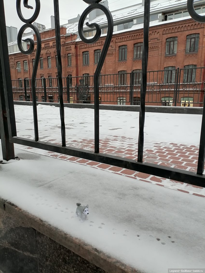 Санкт-Петербург. Январь: Милош в Парадном квартале-1 | Бэйбики Санкт-Петербург. Январь: Милош в Парадном квартале-1