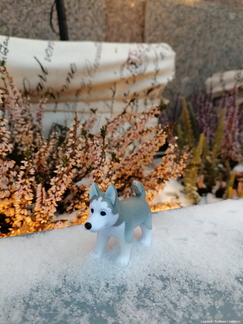 Санкт-Петербург. Январь: Милош в Парадном квартале-2 | Бэйбики Санкт-Петербург. Январь: Милош в Парадном квартале-2