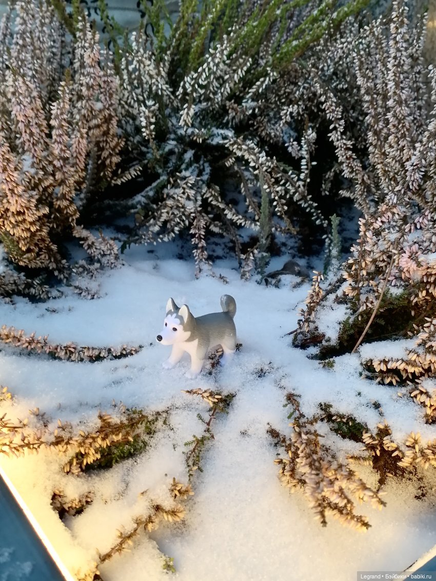 Санкт-Петербург. Январь: Милош в Парадном квартале-2 | Бэйбики Санкт-Петербург. Январь: Милош в Парадном квартале-2