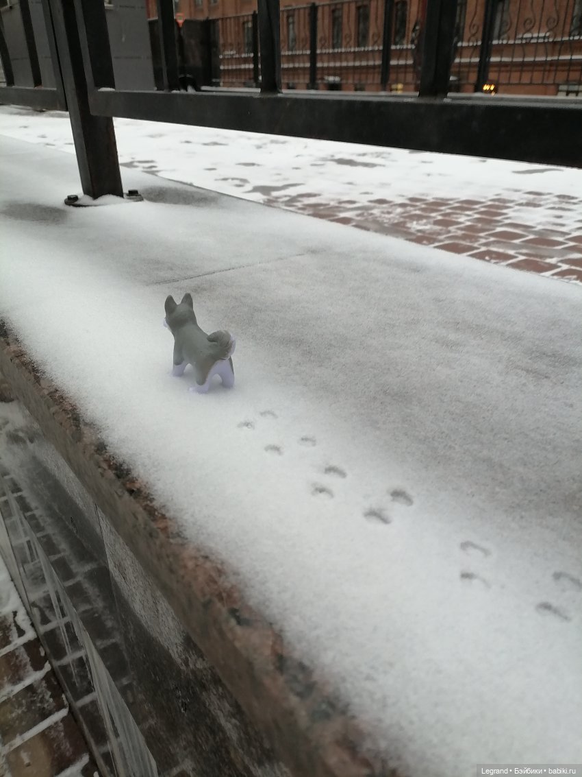 Санкт-Петербург. Январь: Милош в Парадном квартале-1 | Бэйбики Санкт-Петербург. Январь: Милош в Парадном квартале-1 (фото 7)