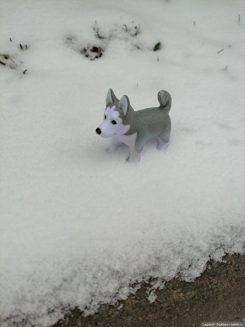 Санкт-Петербург. Январь: Милош в Парадном квартале-1 | Бэйбики Санкт-Петербург. Январь: Милош в Парадном квартале-1