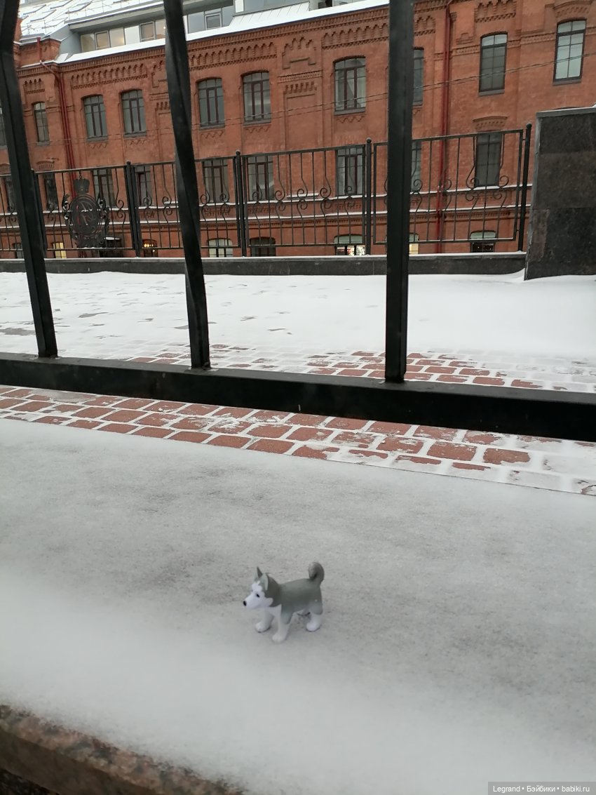 Санкт-Петербург. Январь: Милош в Парадном квартале-1 | Бэйбики Санкт-Петербург. Январь: Милош в Парадном квартале-1 (фото 2)