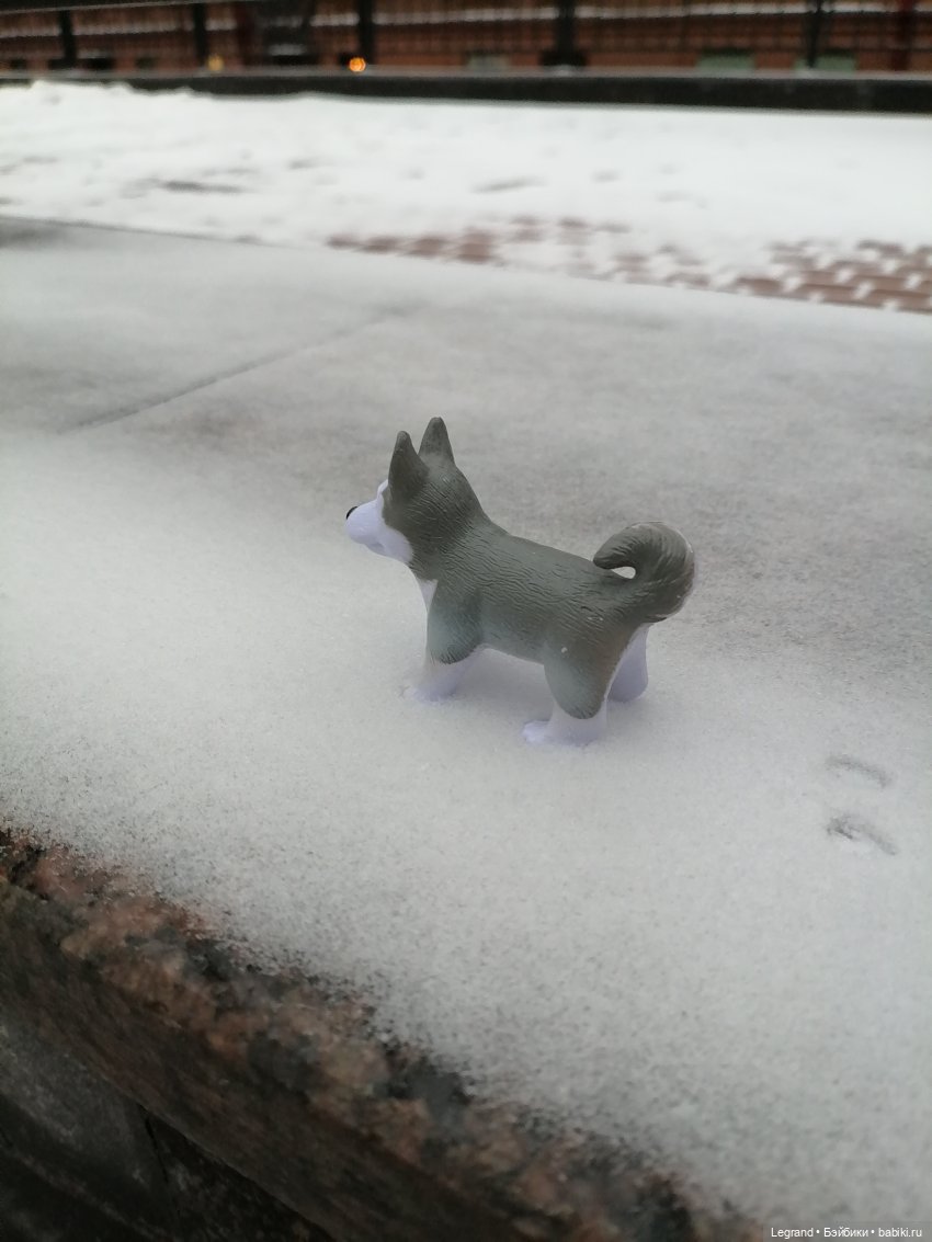 Санкт-Петербург. Январь: Милош в Парадном квартале-1 | Бэйбики Санкт-Петербург. Январь: Милош в Парадном квартале-1 (фото 8)