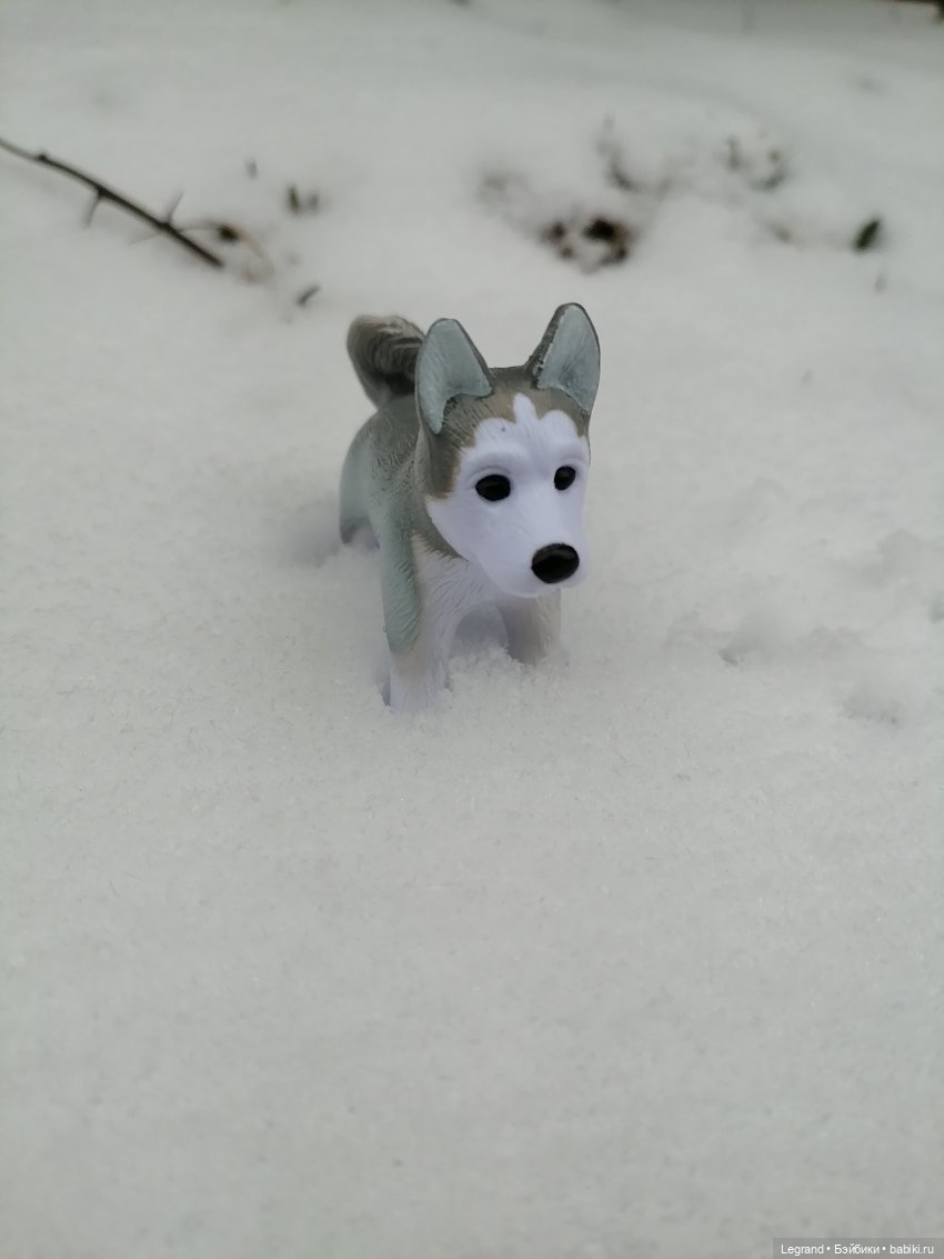 Санкт-Петербург. Январь: Милош в Парадном квартале-1 | Бэйбики Санкт-Петербург. Январь: Милош в Парадном квартале-1
