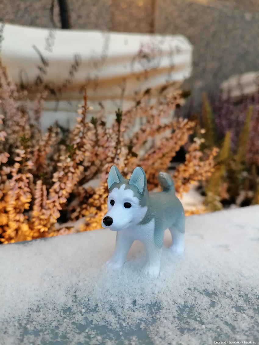 Санкт-Петербург. Январь: Милош в Парадном квартале-2 | Бэйбики Санкт-Петербург. Январь: Милош в Парадном квартале-2