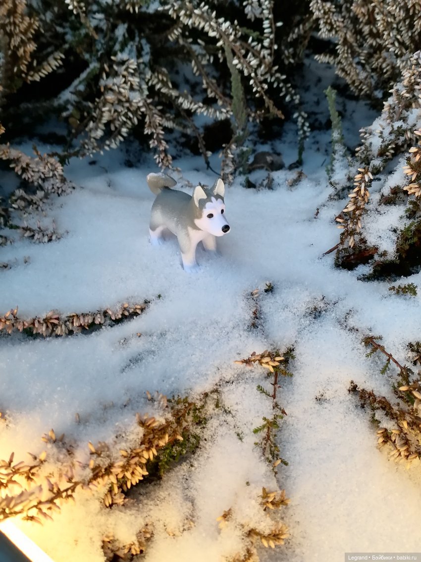Санкт-Петербург. Январь: Милош в Парадном квартале-2 | Бэйбики Санкт-Петербург. Январь: Милош в Парадном квартале-2