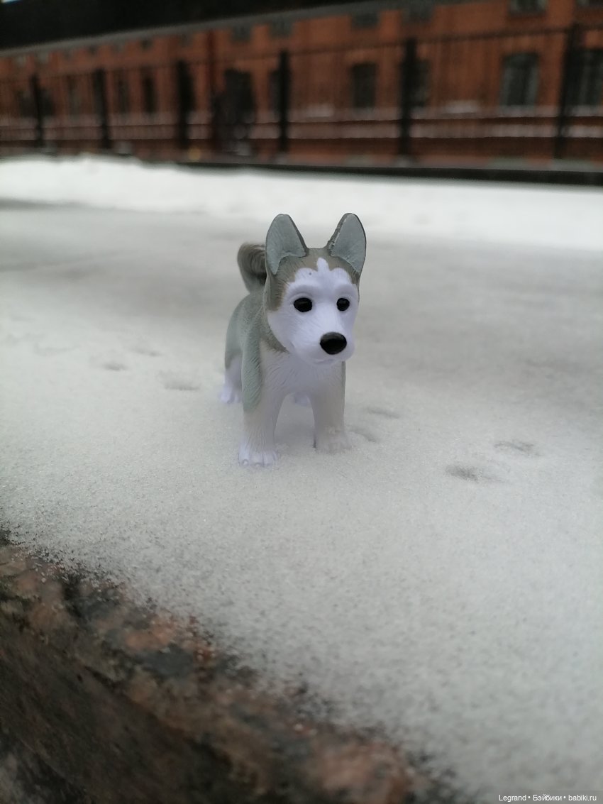 Санкт-Петербург. Январь: Милош в Парадном квартале-1 | Бэйбики Санкт-Петербург. Январь: Милош в Парадном квартале-1