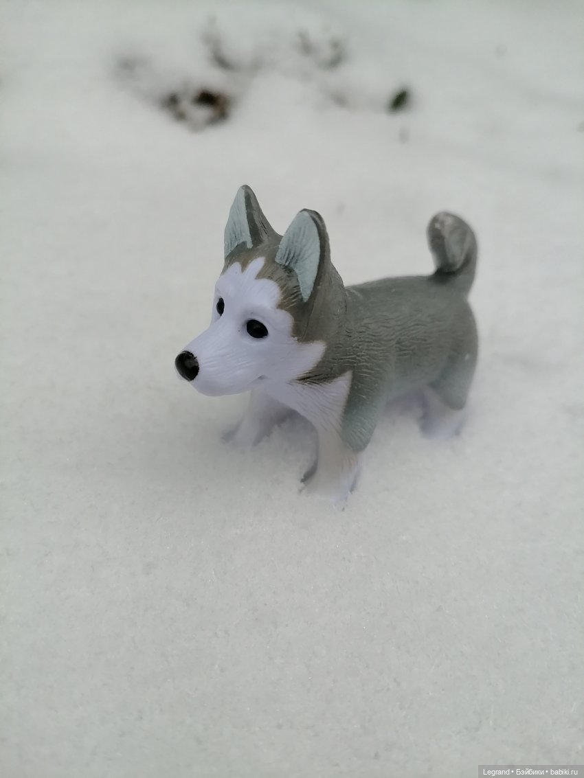 Санкт-Петербург. Январь: Милош в Парадном квартале-1 | Бэйбики Санкт-Петербург. Январь: Милош в Парадном квартале-1