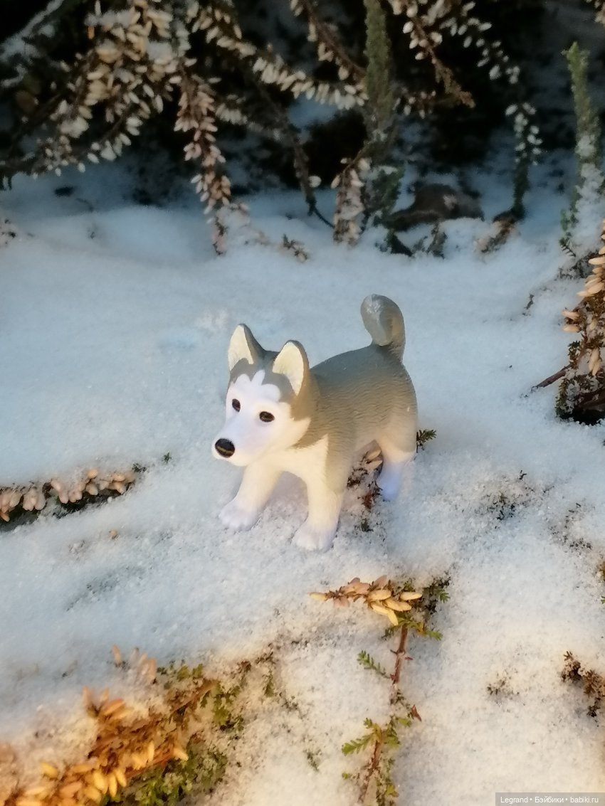 Санкт-Петербург. Январь: Милош в Парадном квартале-2 | Бэйбики Санкт-Петербург. Январь: Милош в Парадном квартале-2