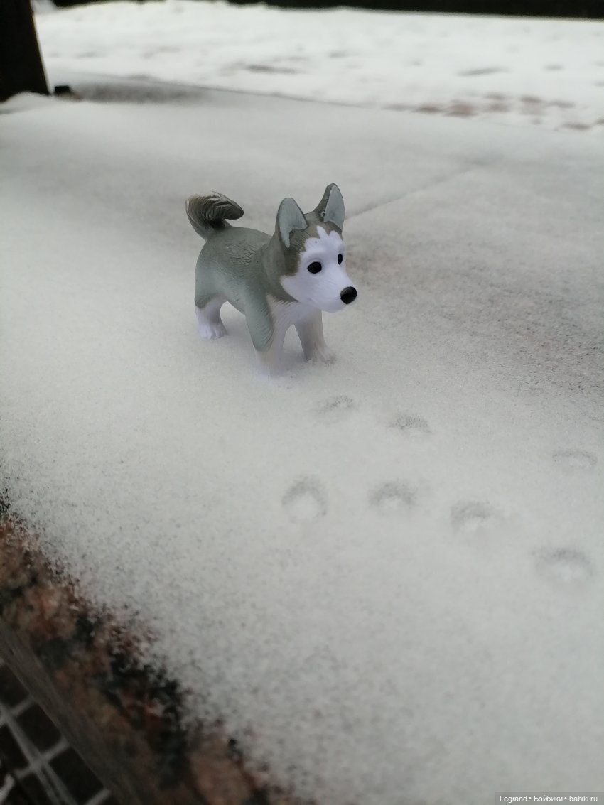 Санкт-Петербург. Январь: Милош в Парадном квартале-1 | Бэйбики Санкт-Петербург. Январь: Милош в Парадном квартале-1 (фото 10)