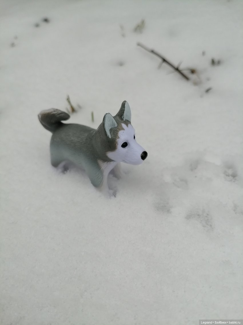 Санкт-Петербург. Январь: Милош в Парадном квартале-1 | Бэйбики Санкт-Петербург. Январь: Милош в Парадном квартале-1