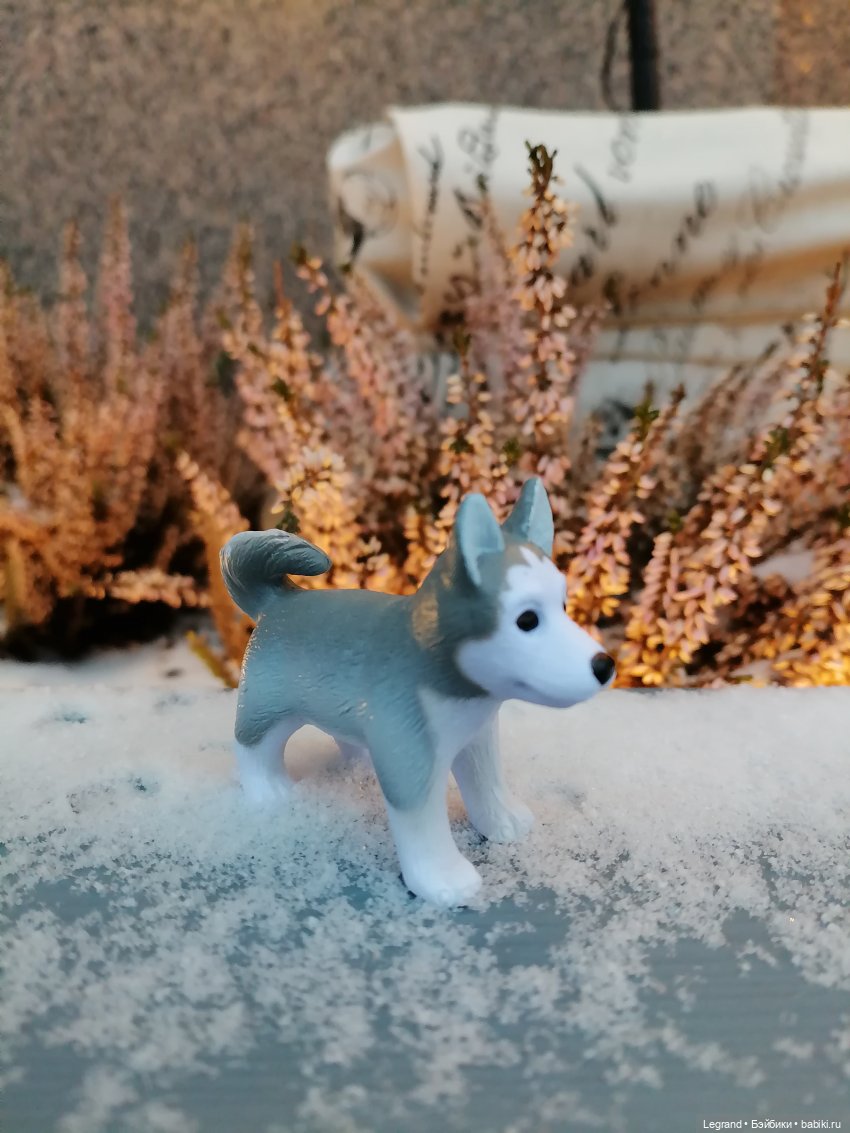 Санкт-Петербург. Январь: Милош в Парадном квартале-2 | Бэйбики Санкт-Петербург. Январь: Милош в Парадном квартале-2