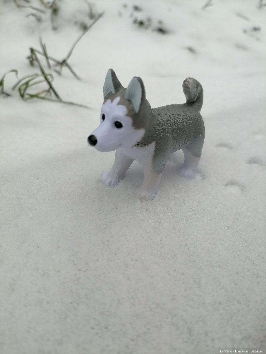 Санкт-Петербург. Январь: Милош в Парадном квартале-1 | Бэйбики Санкт-Петербург. Январь: Милош в Парадном квартале-1