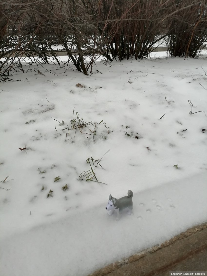 Санкт-Петербург. Январь: Милош в Парадном квартале-1 | Бэйбики Санкт-Петербург. Январь: Милош в Парадном квартале-1