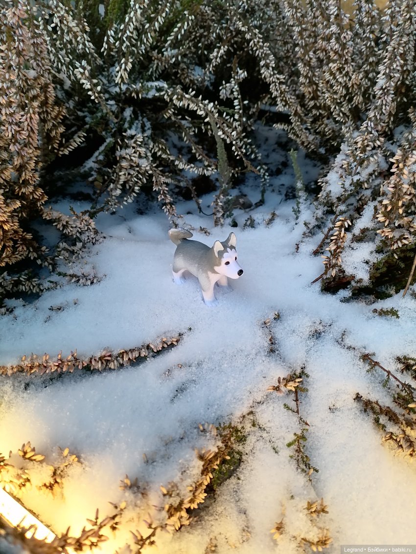 Санкт-Петербург. Январь: Милош в Парадном квартале-2 | Бэйбики Санкт-Петербург. Январь: Милош в Парадном квартале-2
