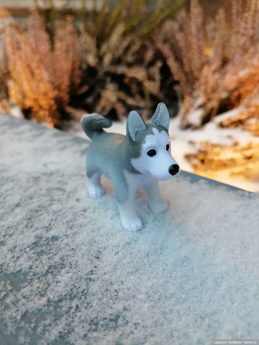 Санкт-Петербург. Январь: Милош в Парадном квартале-2 | Бэйбики Санкт-Петербург. Январь: Милош в Парадном квартале-2