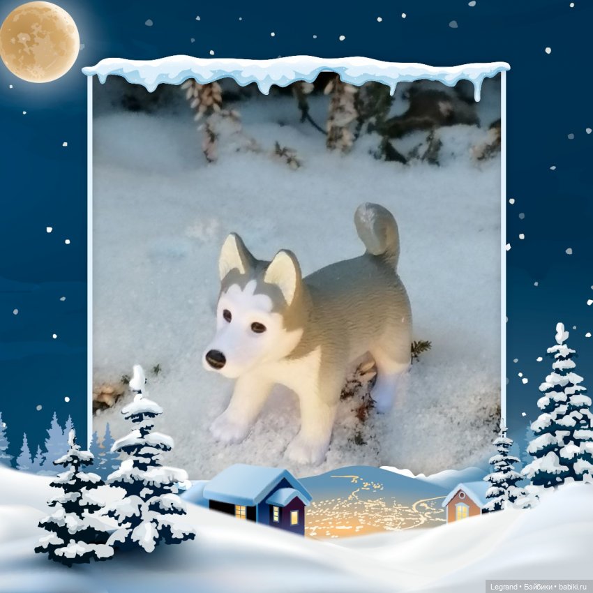 Санкт-Петербург. Январь: Милош в Парадном квартале-2 | Бэйбики Санкт-Петербург. Январь: Милош в Парадном квартале-2