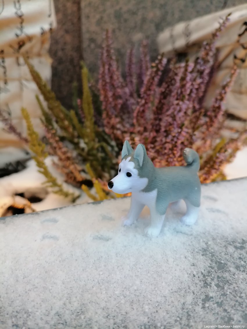 Санкт-Петербург. Январь: Милош в Парадном квартале-2 | Бэйбики Санкт-Петербург. Январь: Милош в Парадном квартале-2 (фото 8)