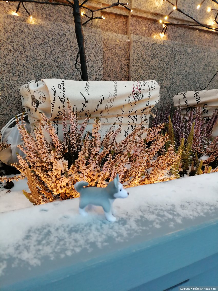 Санкт-Петербург. Январь: Милош в Парадном квартале-2 | Бэйбики Санкт-Петербург. Январь: Милош в Парадном квартале-2