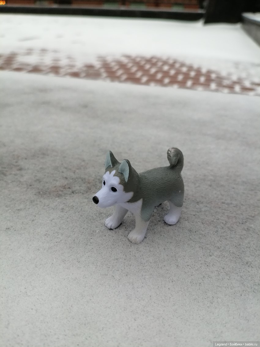 Санкт-Петербург. Январь: Милош в Парадном квартале-1 | Бэйбики Санкт-Петербург. Январь: Милош в Парадном квартале-1 (фото 4)