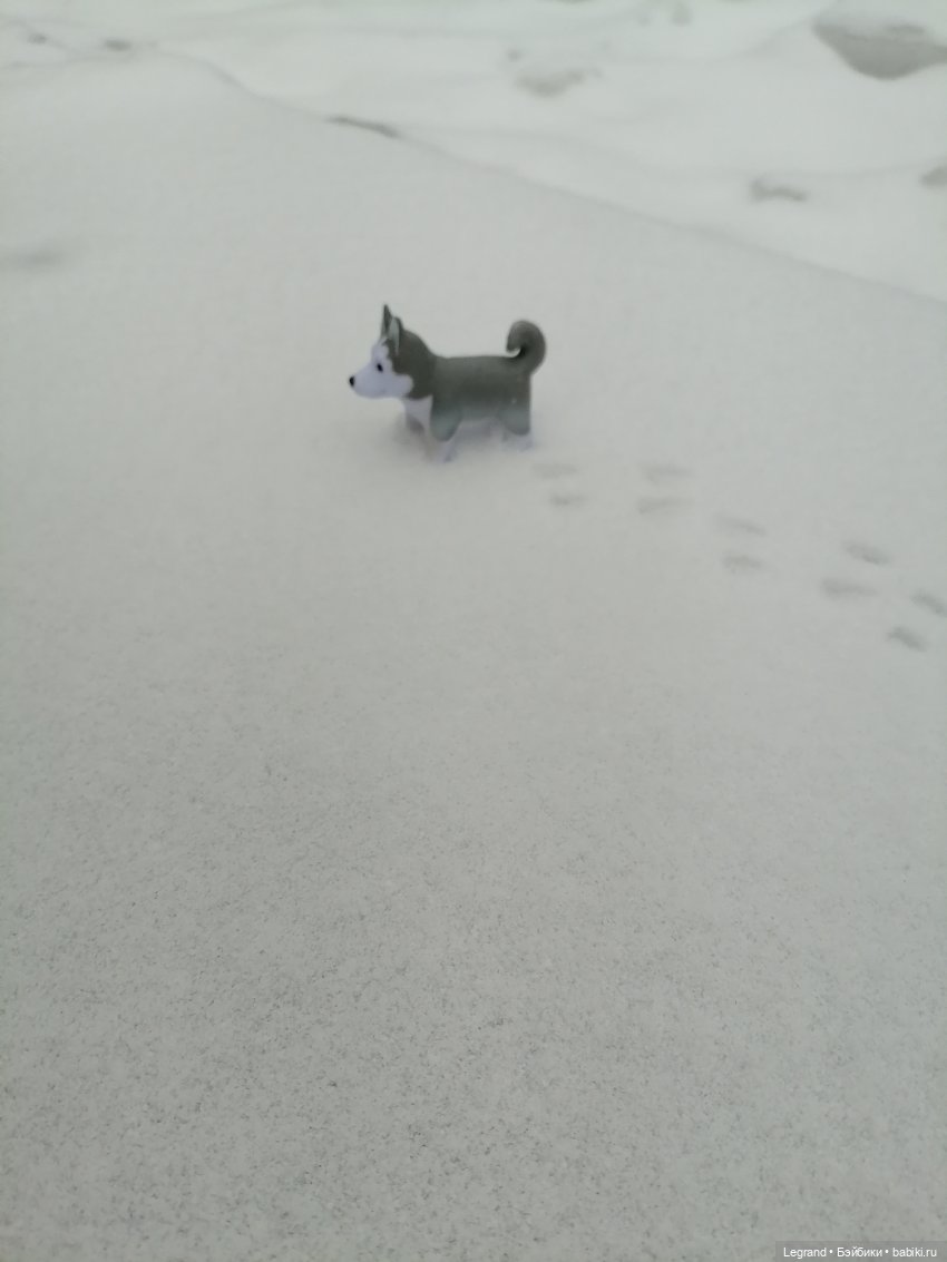 Санкт-Петербург. Январь: Милош в Парадном квартале-1 | Бэйбики Санкт-Петербург. Январь: Милош в Парадном квартале-1