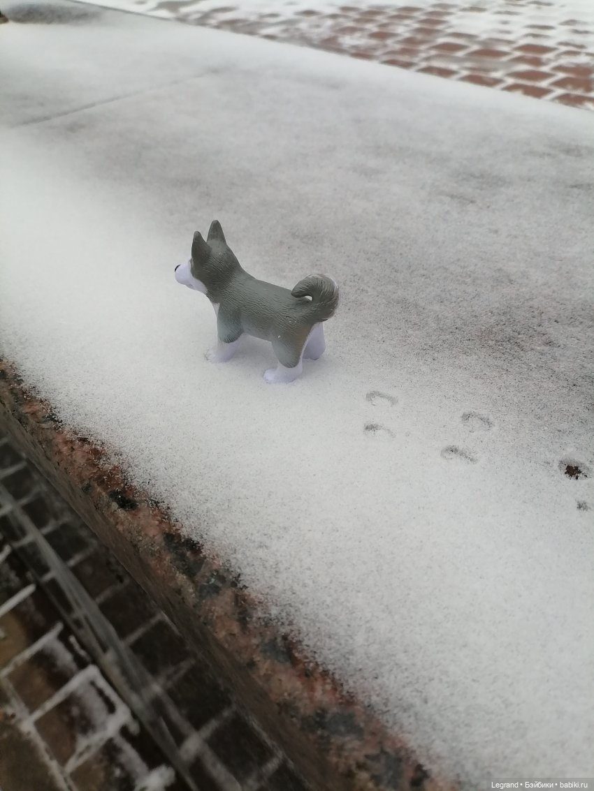 Санкт-Петербург. Январь: Милош в Парадном квартале-1 | Бэйбики Санкт-Петербург. Январь: Милош в Парадном квартале-1 (фото 6)