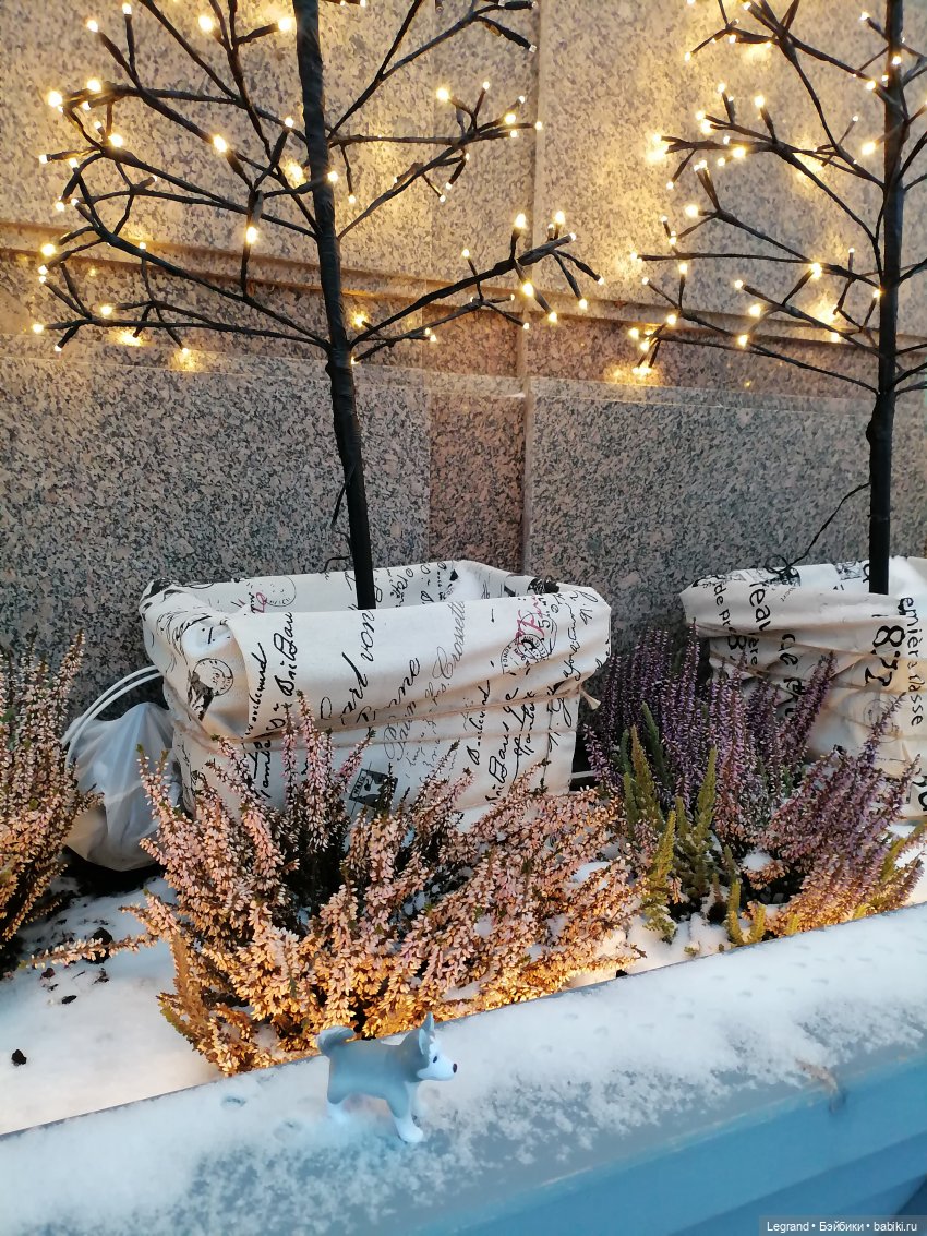 Санкт-Петербург. Январь: Милош в Парадном квартале-2 | Бэйбики Санкт-Петербург. Январь: Милош в Парадном квартале-2