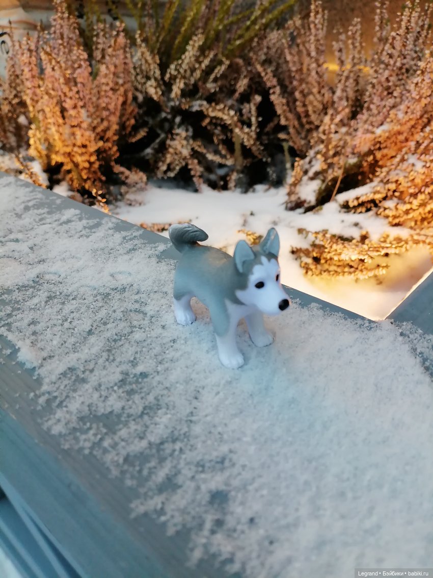 Санкт-Петербург. Январь: Милош в Парадном квартале-2 | Бэйбики Санкт-Петербург. Январь: Милош в Парадном квартале-2