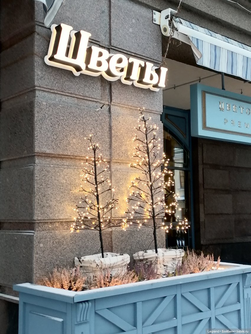 Санкт-Петербург. Январь: Милош в Парадном квартале-2 | Бэйбики Санкт-Петербург. Январь: Милош в Парадном квартале-2 (фото 6)