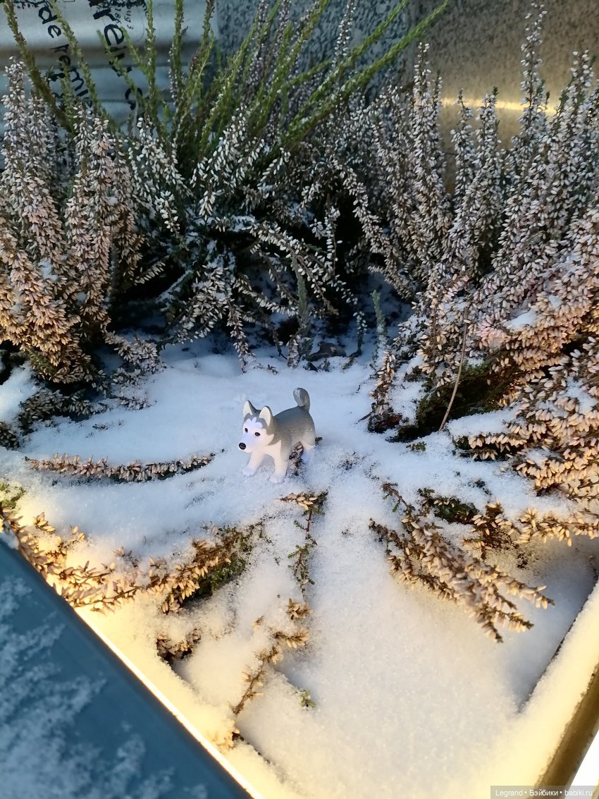 Санкт-Петербург. Январь: Милош в Парадном квартале-2 | Бэйбики Санкт-Петербург. Январь: Милош в Парадном квартале-2