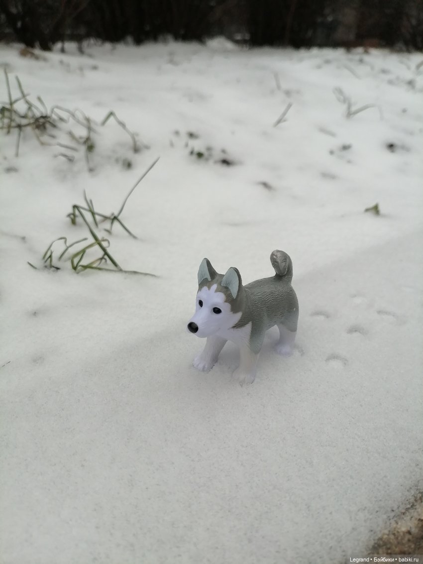 Санкт-Петербург. Январь: Милош в Парадном квартале-1 | Бэйбики Санкт-Петербург. Январь: Милош в Парадном квартале-1