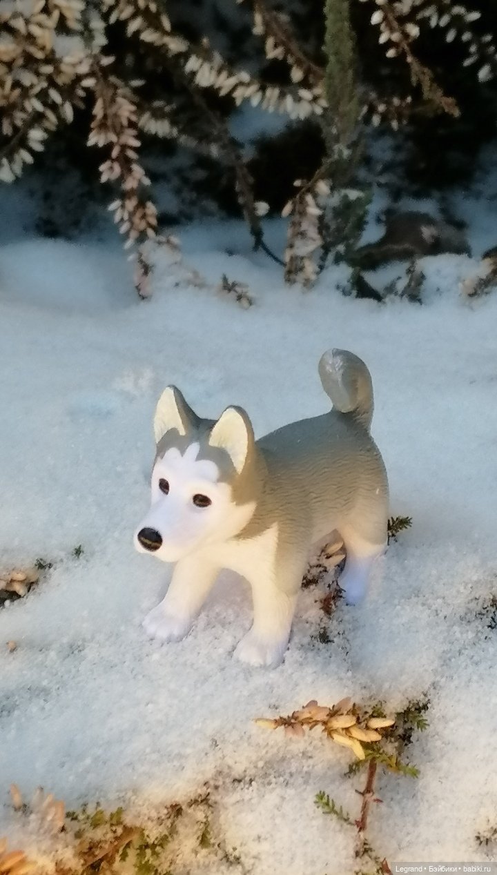 Санкт-Петербург. Январь: Милош в Парадном квартале-2 | Бэйбики Санкт-Петербург. Январь: Милош в Парадном квартале-2