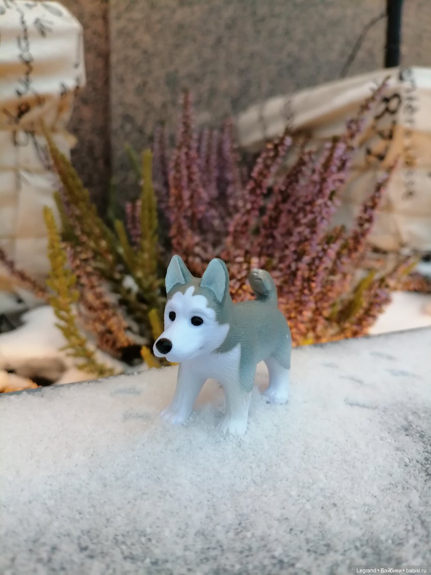 Санкт-Петербург. Январь: Милош в Парадном квартале-2 | Бэйбики Санкт-Петербург. Январь: Милош в Парадном квартале-2 (фото 9)