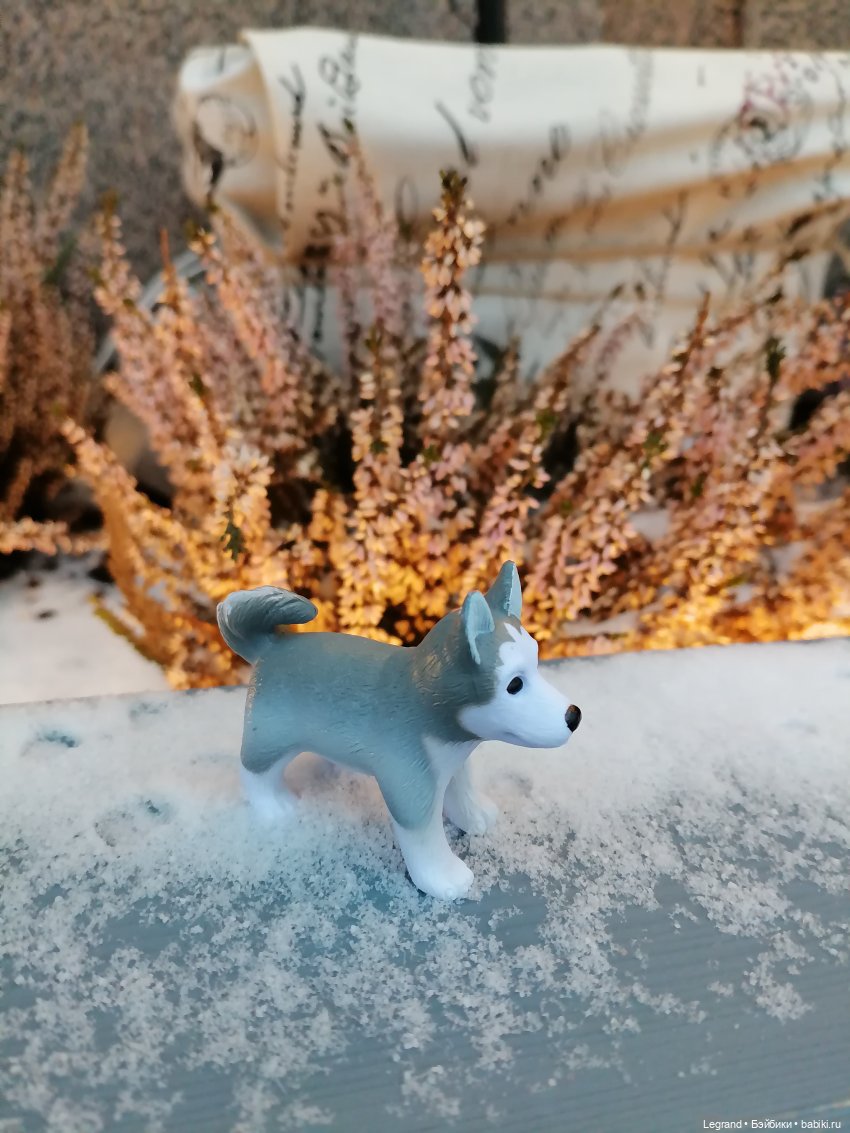 Санкт-Петербург. Январь: Милош в Парадном квартале-2 | Бэйбики Санкт-Петербург. Январь: Милош в Парадном квартале-2