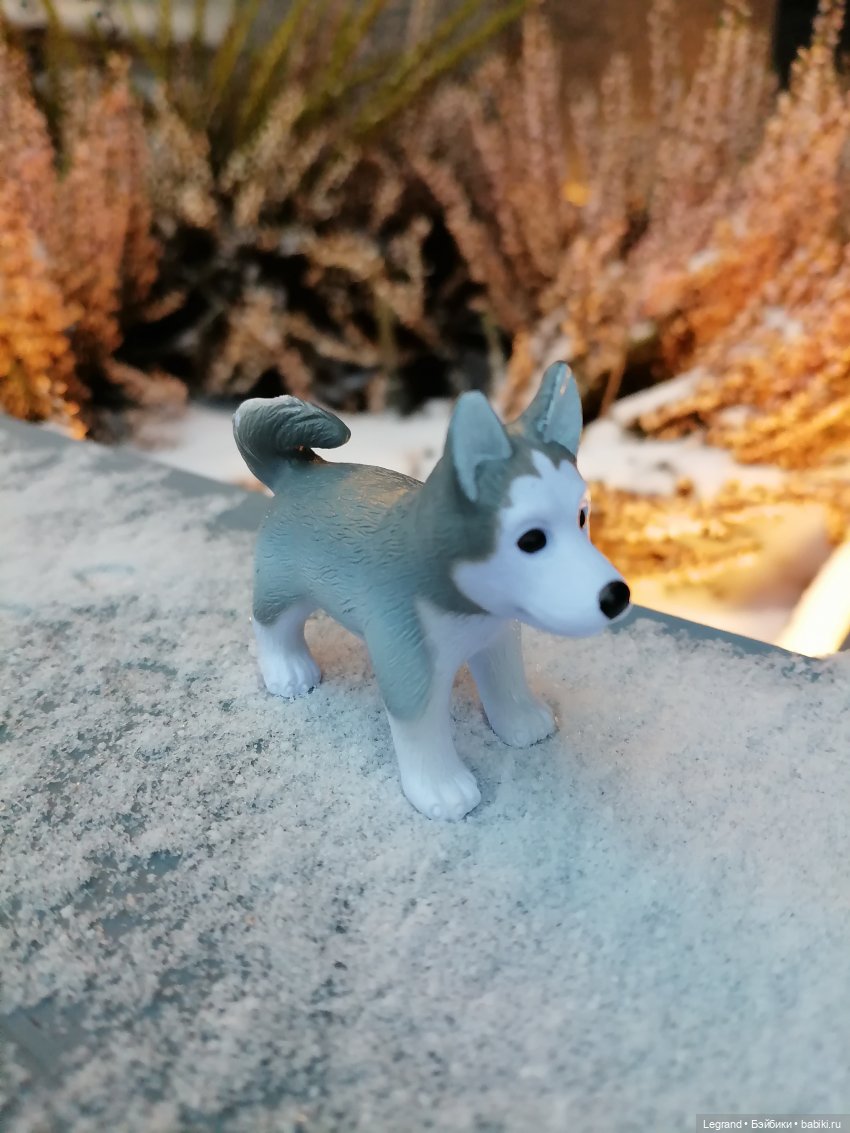 Санкт-Петербург. Январь: Милош в Парадном квартале-2 | Бэйбики Санкт-Петербург. Январь: Милош в Парадном квартале-2