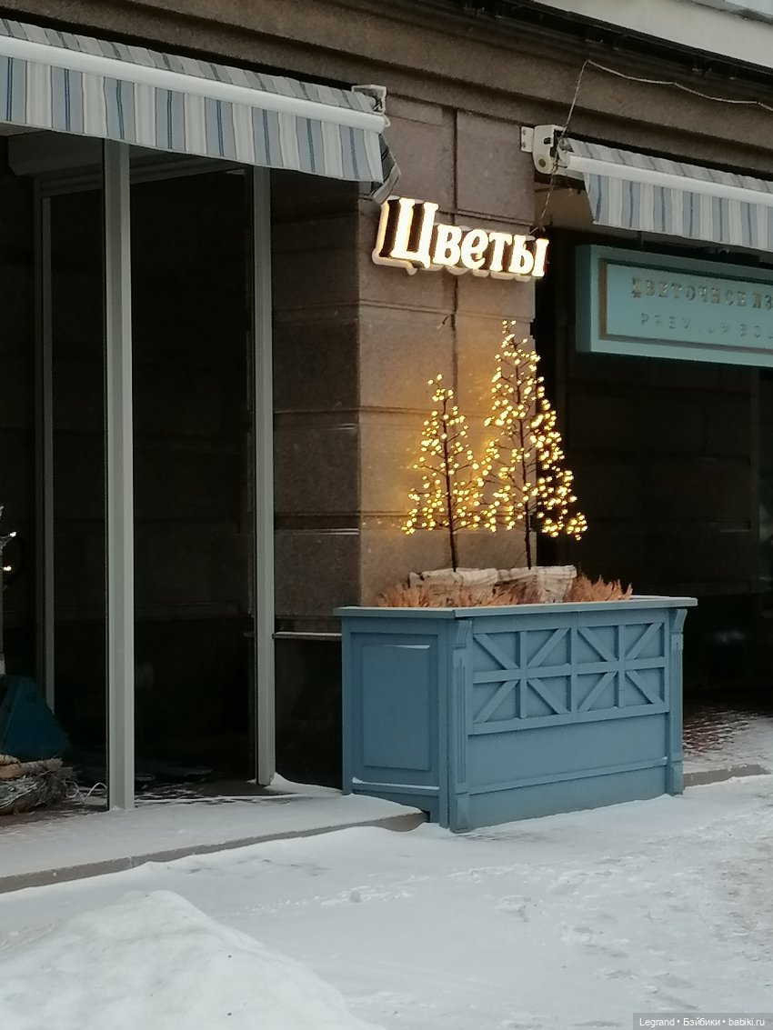 Санкт-Петербург. Январь: Милош в Парадном квартале-2 | Бэйбики Санкт-Петербург. Январь: Милош в Парадном квартале-2 (фото 4)