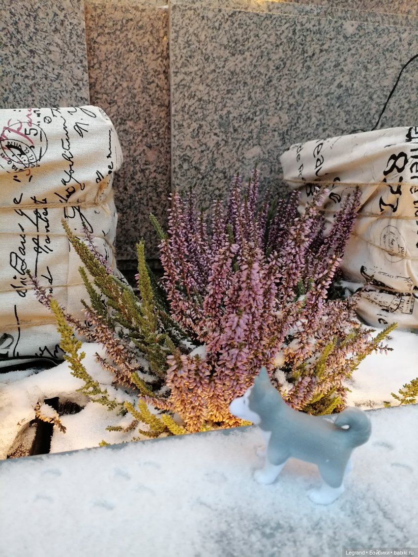 Санкт-Петербург. Январь: Милош в Парадном квартале-2 | Бэйбики Санкт-Петербург. Январь: Милош в Парадном квартале-2 (фото 7)