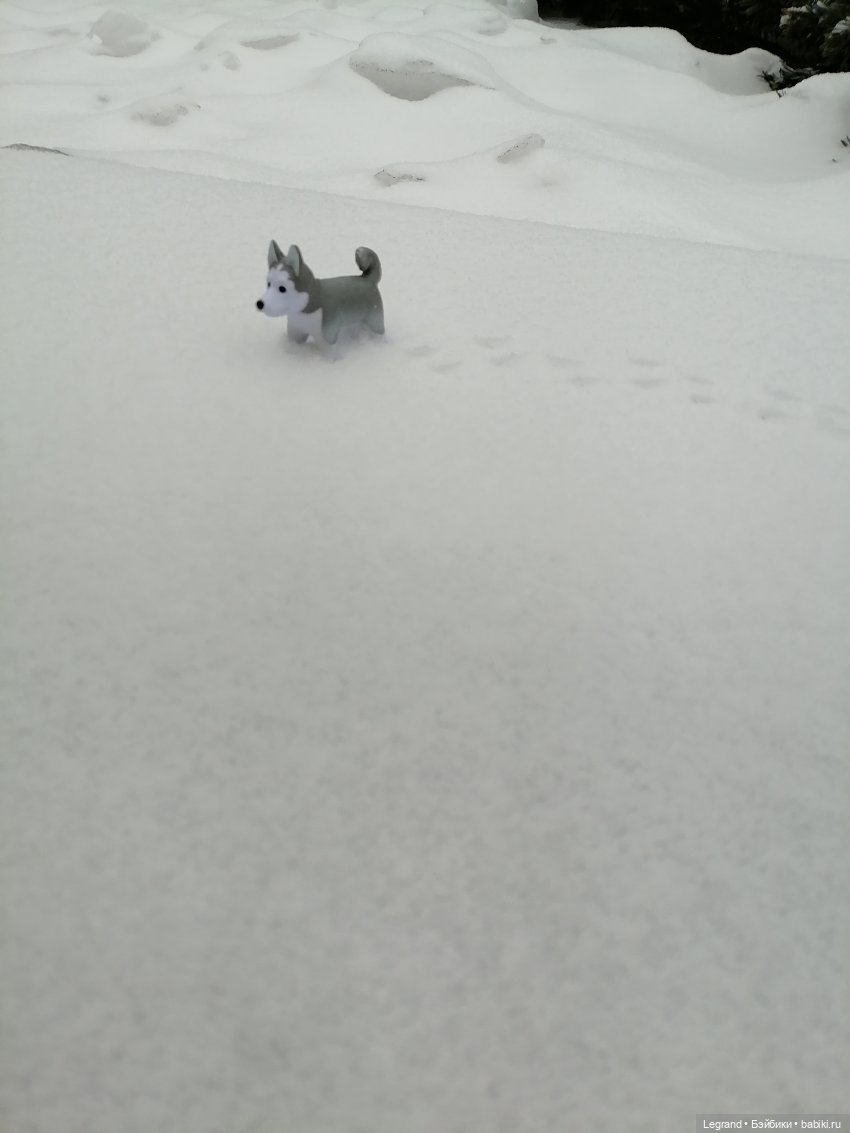 Санкт-Петербург. Январь: Милош в Парадном квартале-1 | Бэйбики Санкт-Петербург. Январь: Милош в Парадном квартале-1