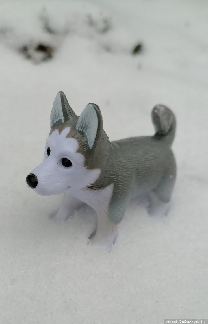 Санкт-Петербург. Январь: Милош в Парадном квартале-2 | Бэйбики Санкт-Петербург. Январь: Милош в Парадном квартале-2