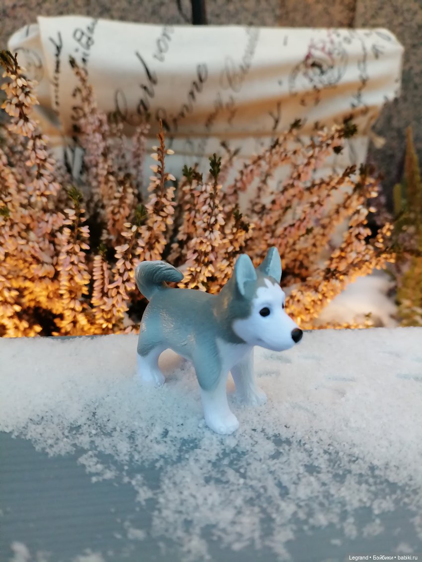 Санкт-Петербург. Январь: Милош в Парадном квартале-2 | Бэйбики Санкт-Петербург. Январь: Милош в Парадном квартале-2