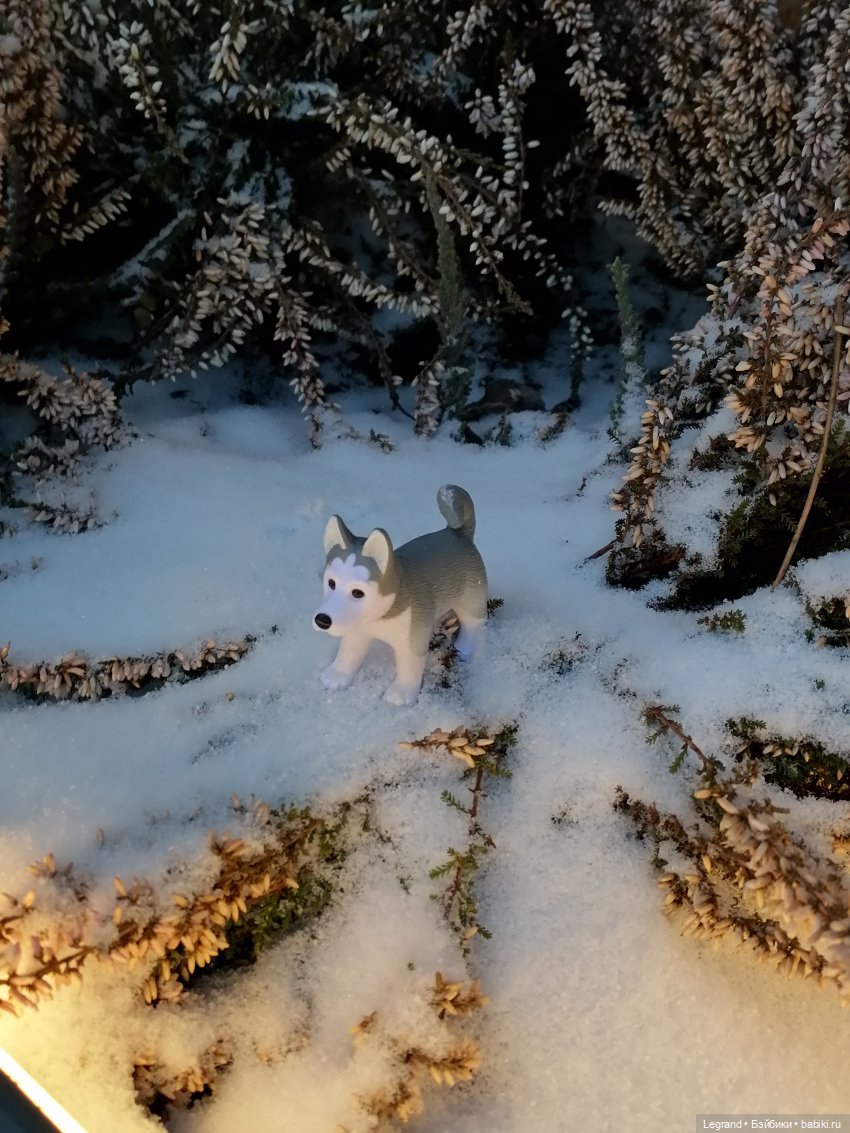 Санкт-Петербург. Январь: Милош в Парадном квартале-2 | Бэйбики Санкт-Петербург. Январь: Милош в Парадном квартале-2