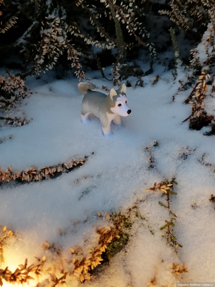 Санкт-Петербург. Январь: Милош в Парадном квартале-2 | Бэйбики Санкт-Петербург. Январь: Милош в Парадном квартале-2