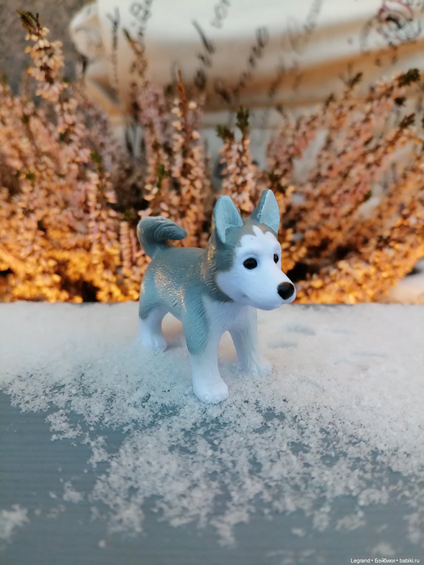 Санкт-Петербург. Январь: Милош в Парадном квартале-2 | Бэйбики Санкт-Петербург. Январь: Милош в Парадном квартале-2