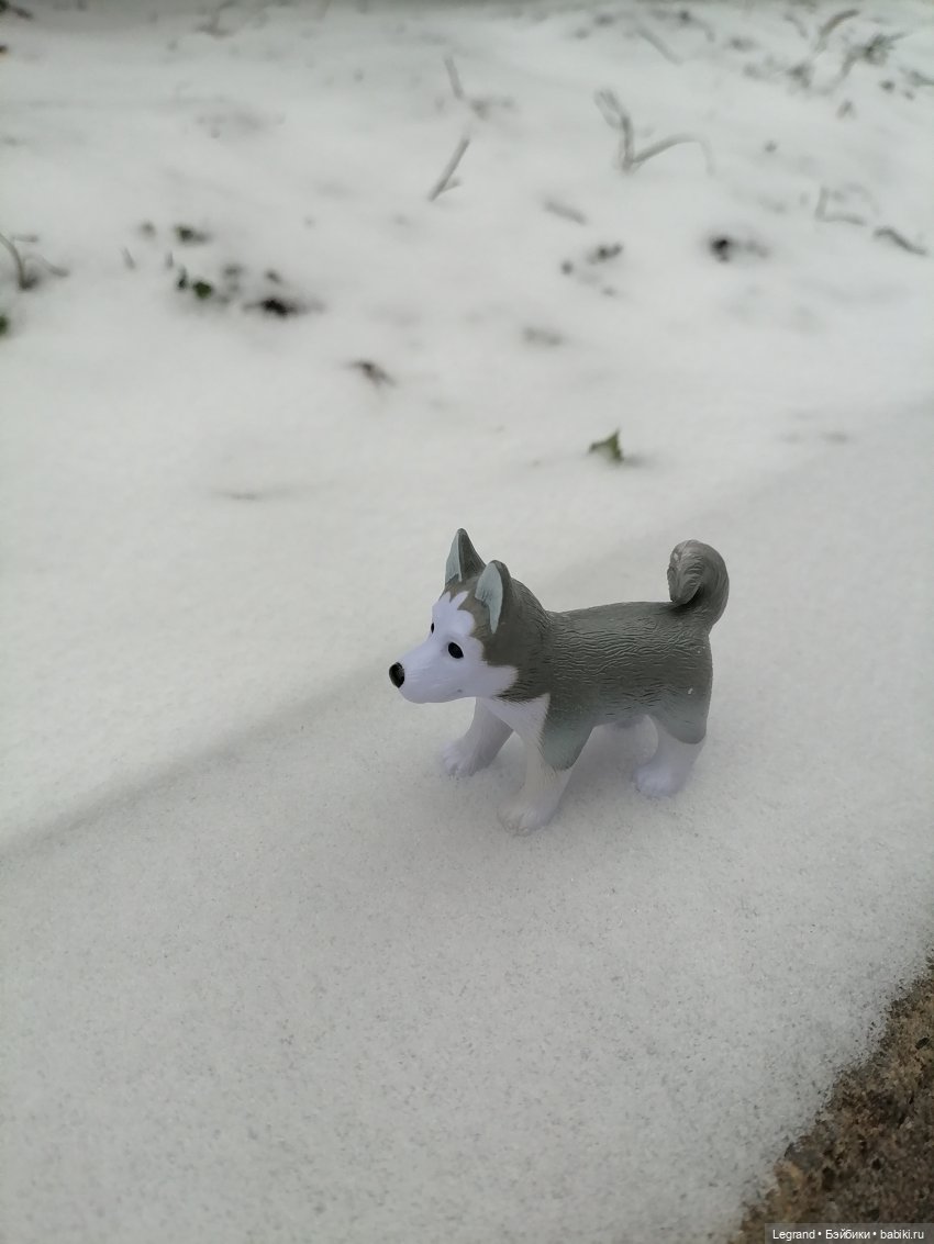 Санкт-Петербург. Январь: Милош в Парадном квартале-1 | Бэйбики Санкт-Петербург. Январь: Милош в Парадном квартале-1