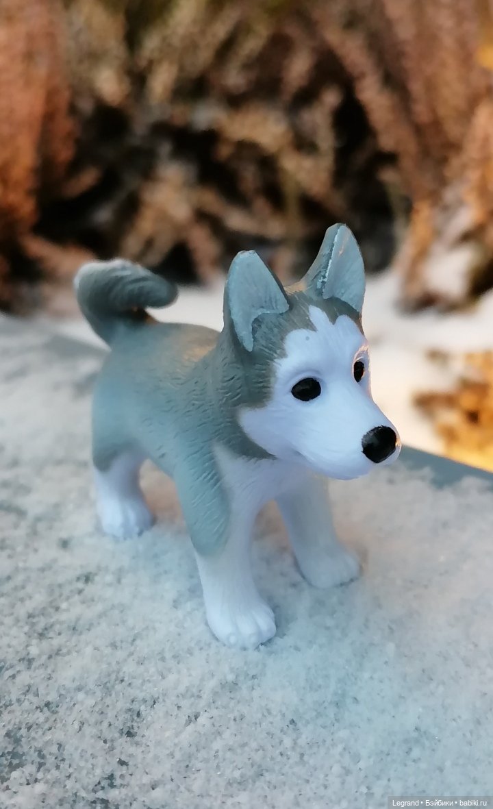 Санкт-Петербург. Январь: Милош в Парадном квартале-2 | Бэйбики Санкт-Петербург. Январь: Милош в Парадном квартале-2