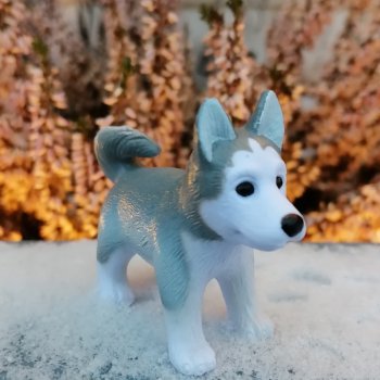 Санкт-Петербург. Январь: Милош в Парадном квартале-2