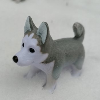 Санкт-Петербург. Январь: Милош в Парадном квартале-1